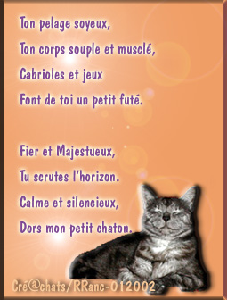 salut a tous le samoureux